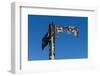 South Africa, Cape Town, Rusted Signpost-Catharina Lux-Framed Photographic Print