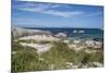 South Africa, Cape Town, Simon's Town, Boulders Beach. African penguin colony.-Cindy Miller Hopkins-Mounted Photographic Print