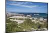 South Africa, Cape Town, Simon's Town, Boulders Beach. African penguin colony.-Cindy Miller Hopkins-Mounted Photographic Print