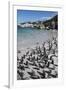 South Africa, Cape Town, Simon's Town, Boulders Beach. African penguin colony.-Cindy Miller Hopkins-Framed Photographic Print