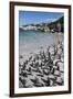 South Africa, Cape Town, Simon's Town, Boulders Beach. African penguin colony.-Cindy Miller Hopkins-Framed Photographic Print