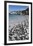 South Africa, Cape Town, Simon's Town, Boulders Beach. African penguin colony.-Cindy Miller Hopkins-Framed Photographic Print