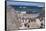 South Africa, Cape Town, Simon's Town, Boulders Beach. African penguin colony.-Cindy Miller Hopkins-Framed Stretched Canvas