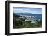 South Africa, Cape Town, Simon's Town, Boulders Beach. African penguin colony.-Cindy Miller Hopkins-Framed Photographic Print