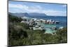 South Africa, Cape Town, Simon's Town, Boulders Beach. African penguin colony.-Cindy Miller Hopkins-Mounted Photographic Print