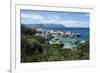 South Africa, Cape Town, Simon's Town, Boulders Beach. African penguin colony.-Cindy Miller Hopkins-Framed Premium Photographic Print