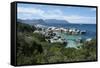 South Africa, Cape Town, Simon's Town, Boulders Beach. African penguin colony.-Cindy Miller Hopkins-Framed Stretched Canvas