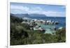 South Africa, Cape Town, Simon's Town, Boulders Beach. African penguin colony.-Cindy Miller Hopkins-Framed Photographic Print