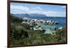 South Africa, Cape Town, Simon's Town, Boulders Beach. African penguin colony.-Cindy Miller Hopkins-Framed Photographic Print