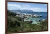 South Africa, Cape Town, Simon's Town, Boulders Beach. African penguin colony.-Cindy Miller Hopkins-Framed Photographic Print