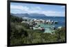 South Africa, Cape Town, Simon's Town, Boulders Beach. African penguin colony.-Cindy Miller Hopkins-Framed Photographic Print