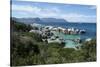 South Africa, Cape Town, Simon's Town, Boulders Beach. African penguin colony.-Cindy Miller Hopkins-Stretched Canvas