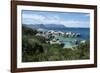 South Africa, Cape Town, Simon's Town, Boulders Beach. African penguin colony.-Cindy Miller Hopkins-Framed Photographic Print