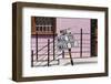 South Africa, Cape Town, Varity of Street Signs-Catharina Lux-Framed Photographic Print