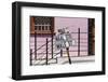South Africa, Cape Town, Varity of Street Signs-Catharina Lux-Framed Photographic Print