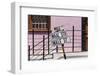 South Africa, Cape Town, Varity of Street Signs-Catharina Lux-Framed Photographic Print