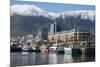 South Africa, Cape Town. Victoria and Alfred Waterfront, Table Mountain.-Cindy Miller Hopkins-Mounted Premium Photographic Print