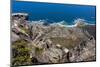 South Africa, Cape Town, View from the Table Mountain-Catharina Lux-Mounted Photographic Print