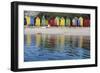 South Africa, Cape Town, View of Beach Huts-Michele Westmorland-Framed Photographic Print