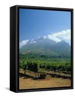 South Africa, Cape Winelands. Vineyards Near Stellenbosch-Fraser Hall-Framed Stretched Canvas