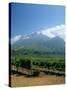 South Africa, Cape Winelands. Vineyards Near Stellenbosch-Fraser Hall-Stretched Canvas