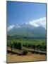 South Africa, Cape Winelands. Vineyards Near Stellenbosch-Fraser Hall-Mounted Photographic Print