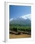 South Africa, Cape Winelands. Vineyards Near Stellenbosch-Fraser Hall-Framed Photographic Print