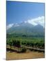 South Africa, Cape Winelands. Vineyards Near Stellenbosch-Fraser Hall-Mounted Photographic Print