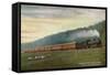 South Africa - Central South African Railways Johannesburg-Cape Express Train-Lantern Press-Framed Stretched Canvas