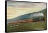 South Africa - Central South African Railways Johannesburg-Cape Express Train-Lantern Press-Framed Stretched Canvas