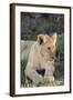 South Africa, Eastern Cape, East London. Inkwenkwezi Game Reserve. Lion Cub-Cindy Miller Hopkins-Framed Photographic Print