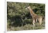 South Africa, Eastern Cape, East London. Inkwenkwezi Game Reserve-Cindy Miller Hopkins-Framed Photographic Print