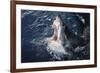 South Africa, Elevated Shark Mouth Open-Amos Nachoum-Framed Photographic Print