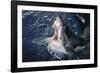 South Africa, Elevated Shark Mouth Open-Amos Nachoum-Framed Photographic Print