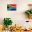 South Africa Flag Design with Wood Patterning - Flags of the World Series-Philippe Hugonnard-Stretched Canvas displayed on a wall