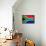 South Africa Flag Design with Wood Patterning - Flags of the World Series-Philippe Hugonnard-Framed Stretched Canvas displayed on a wall