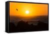 South Africa, Garden Route, Cape Agulhas, Sundown-Catharina Lux-Framed Stretched Canvas