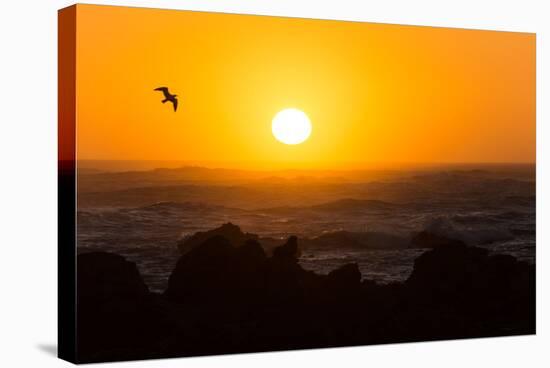 South Africa, Garden Route, Cape Agulhas, Sundown-Catharina Lux-Stretched Canvas