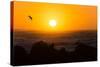 South Africa, Garden Route, Cape Agulhas, Sundown-Catharina Lux-Stretched Canvas