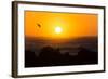 South Africa, Garden Route, Cape Agulhas, Sundown-Catharina Lux-Framed Photographic Print