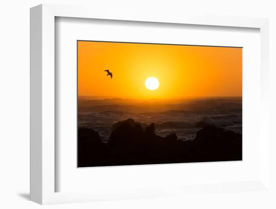 South Africa, Garden Route, Cape Agulhas, Sundown-Catharina Lux-Framed Photographic Print