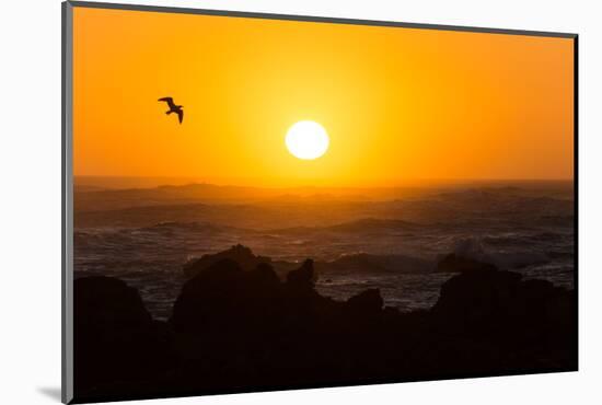 South Africa, Garden Route, Cape Agulhas, Sundown-Catharina Lux-Mounted Photographic Print