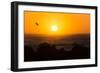 South Africa, Garden Route, Cape Agulhas, Sundown-Catharina Lux-Framed Photographic Print