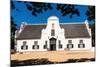South Africa, Groot Constantia, Vineyard-Catharina Lux-Mounted Photographic Print