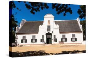 South Africa, Groot Constantia, Vineyard-Catharina Lux-Stretched Canvas