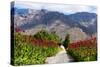 South Africa, Hex River Valley-Catharina Lux-Stretched Canvas