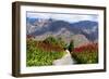 South Africa, Hex River Valley-Catharina Lux-Framed Photographic Print