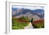 South Africa, Hex River Valley-Catharina Lux-Framed Photographic Print