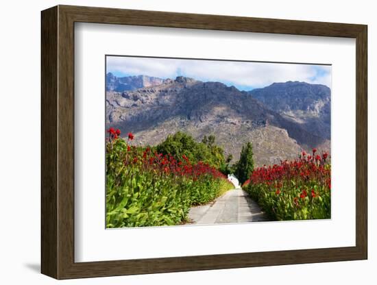 South Africa, Hex River Valley-Catharina Lux-Framed Photographic Print