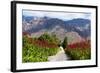 South Africa, Hex River Valley-Catharina Lux-Framed Photographic Print